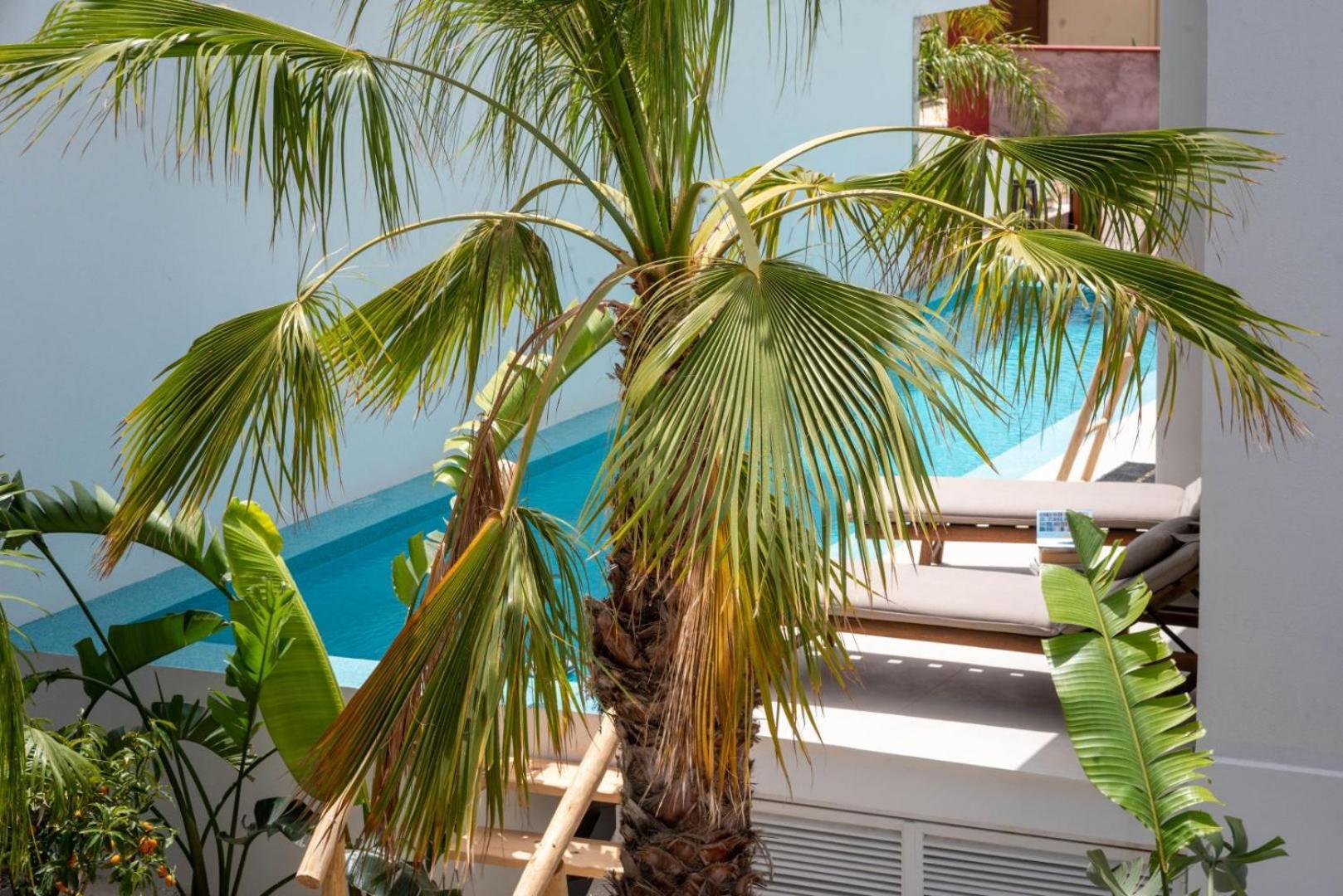 D Palm Premium Living - Kalathas, Chania Chania  Eksteriør billede